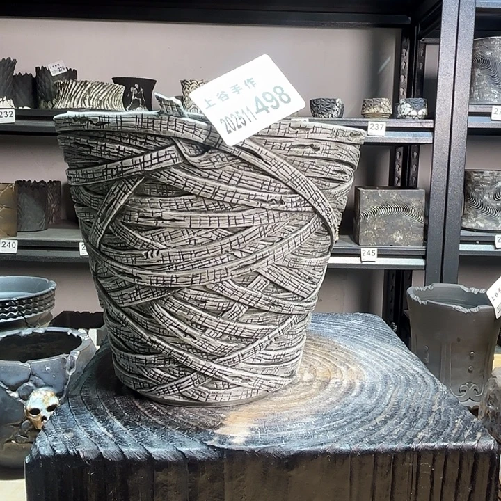 木乃伊内口15.5高14块根植物