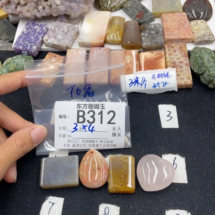 硅化珊瑚（珊瑚玉）颈饰合金T***?