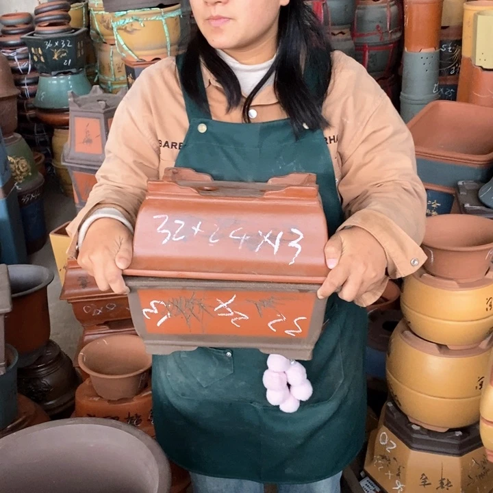 紫砂花盆盆栽花卉苗木种植