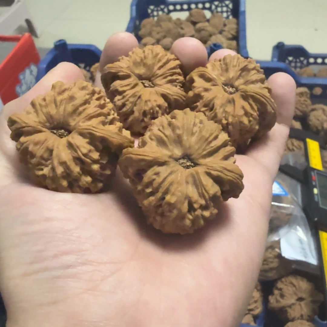 陶瓷南将石38/39尺寸