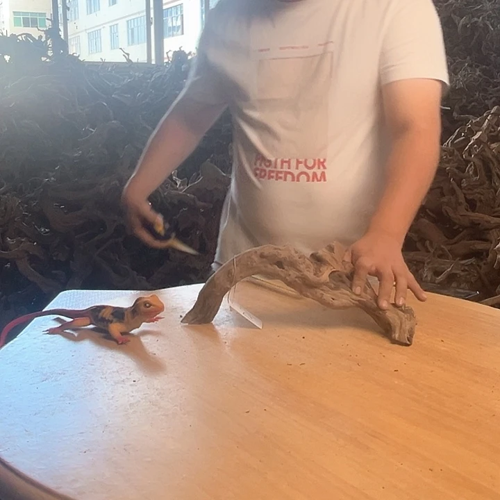 木370515 鱼缸造景根雕艺术127