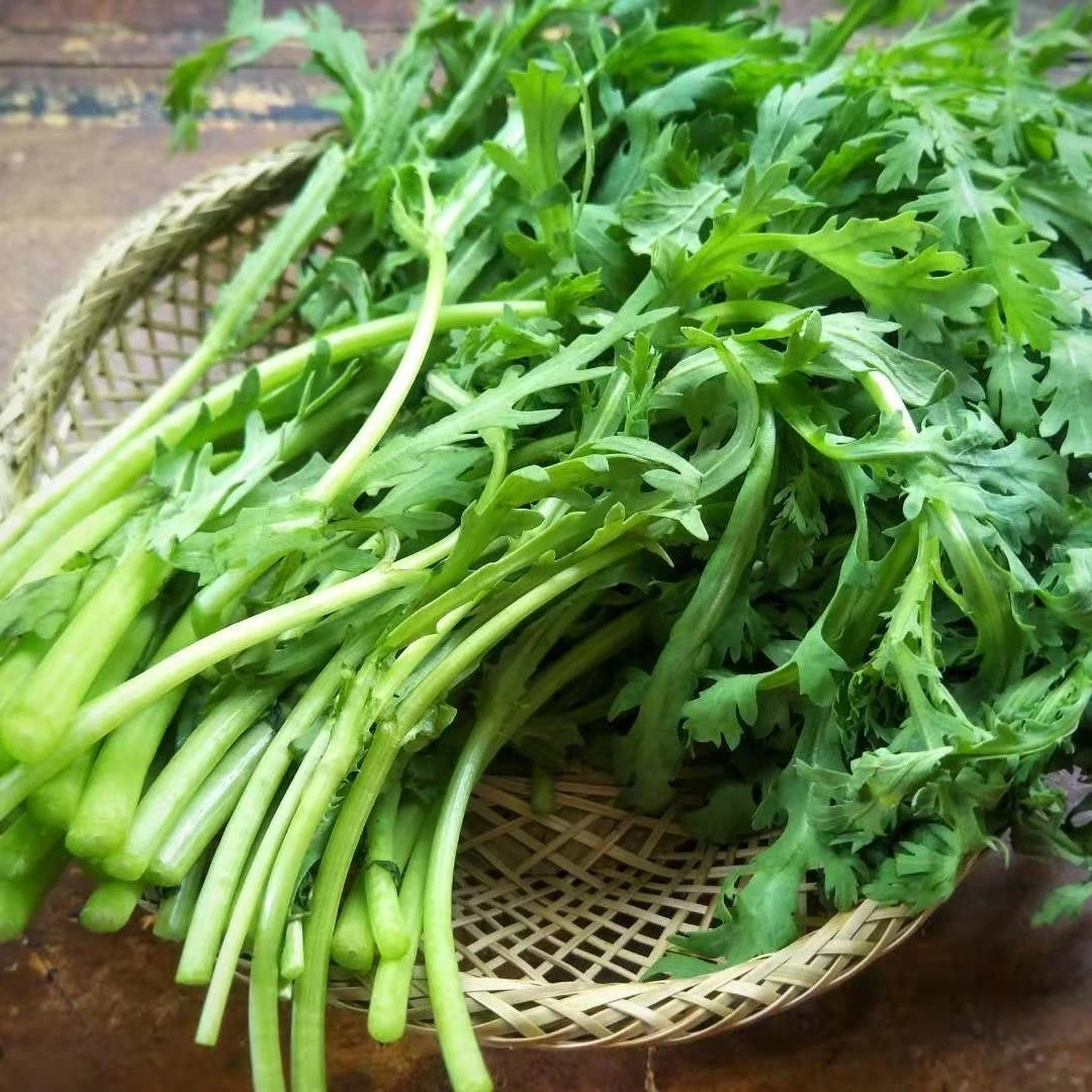 现拔农家自种小叶茼蒿菜新鲜藜蒿黄帝菜火锅涮菜应季蔬菜顺丰包邮