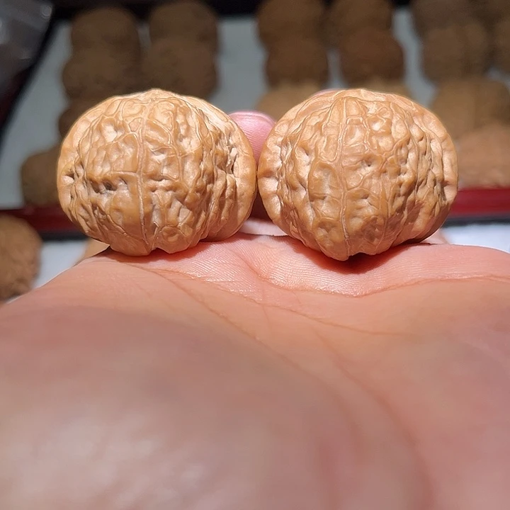 木40全品肉南瓜敦。