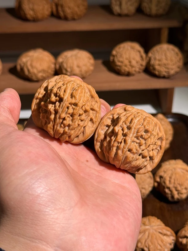 全品四座楼 尺寸42.5 新手练手首选