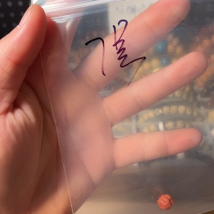 吊坠猴头核桃特特特特