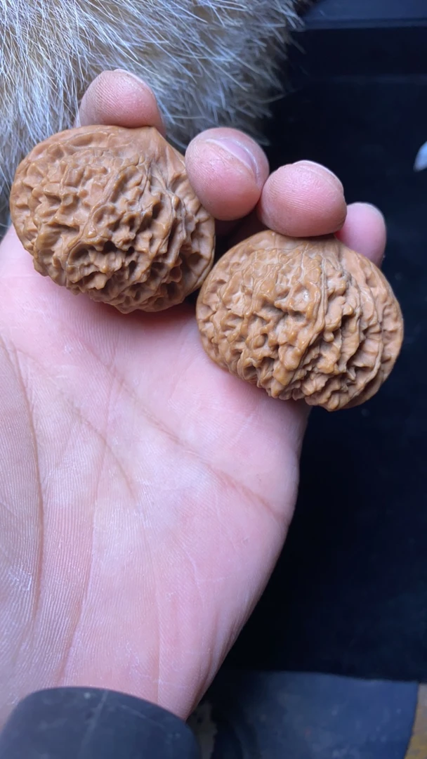 43尺皇冠全品无修