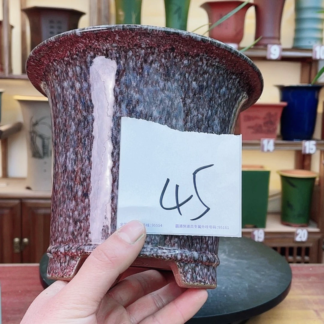 【闪购商品】紫砂花盆孤**筝兰花4555855856998855