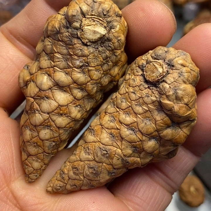 3***1文玩核桃吊坠拿姐工艺115