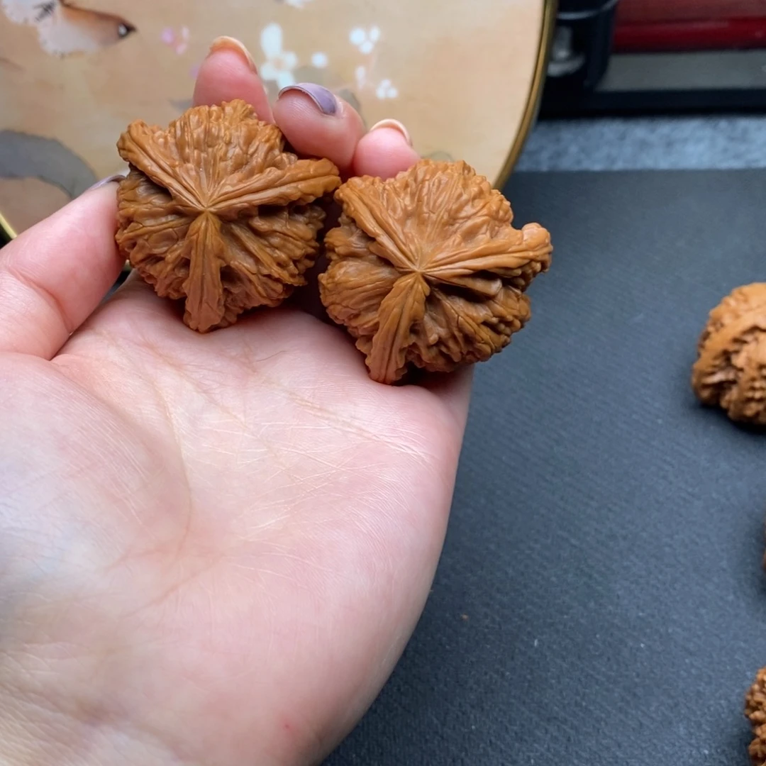 杜****疼白狮子11111111111