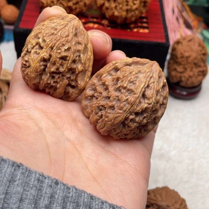 5 黄金甲 小凹底 40-41微色差