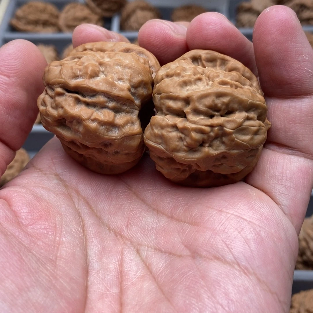 文玩核桃把件40蛤蟆头