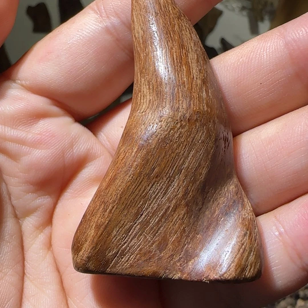 沉香碎屑沉香6.47克加亚布拉红土老料