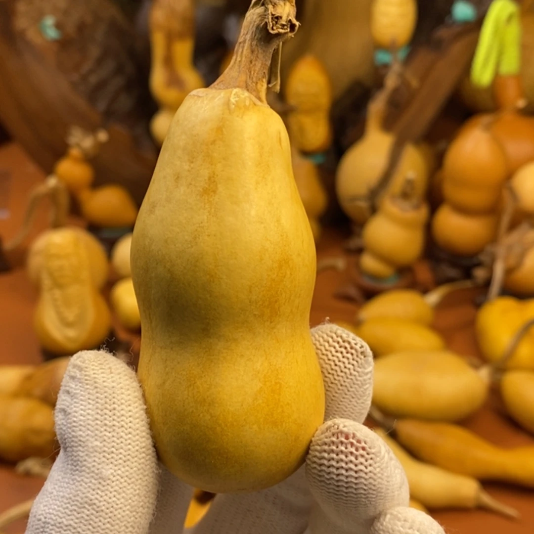 恰***时海口咯我教练教练学校咯