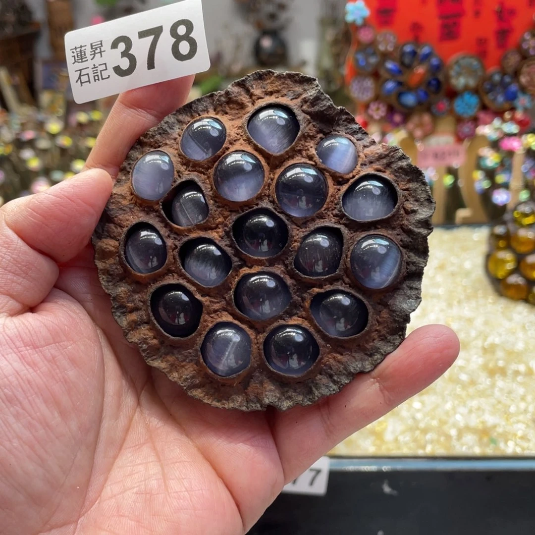 核桃木/黑胡桃（胡桃木）378