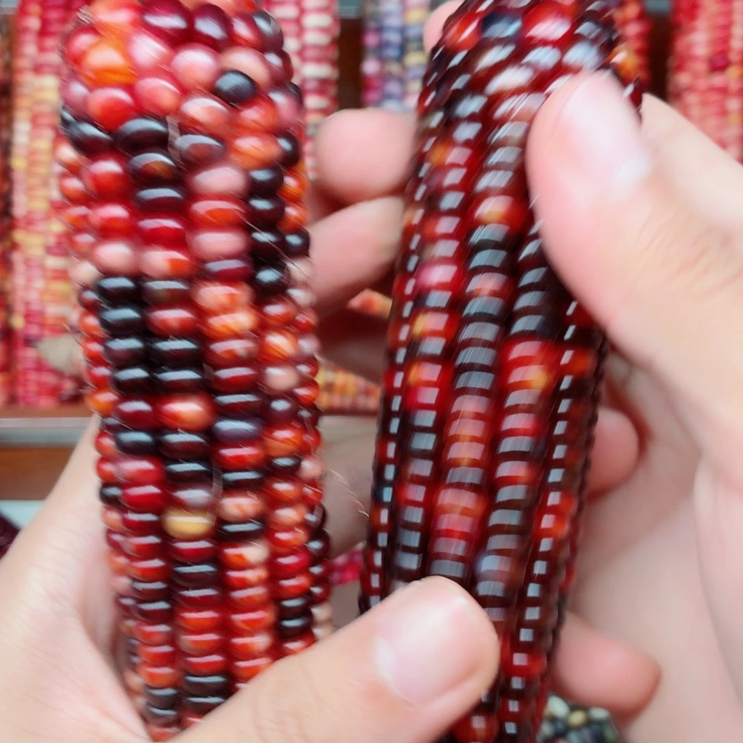时***对吊坠白玉菩提文玩玉米毛料精品