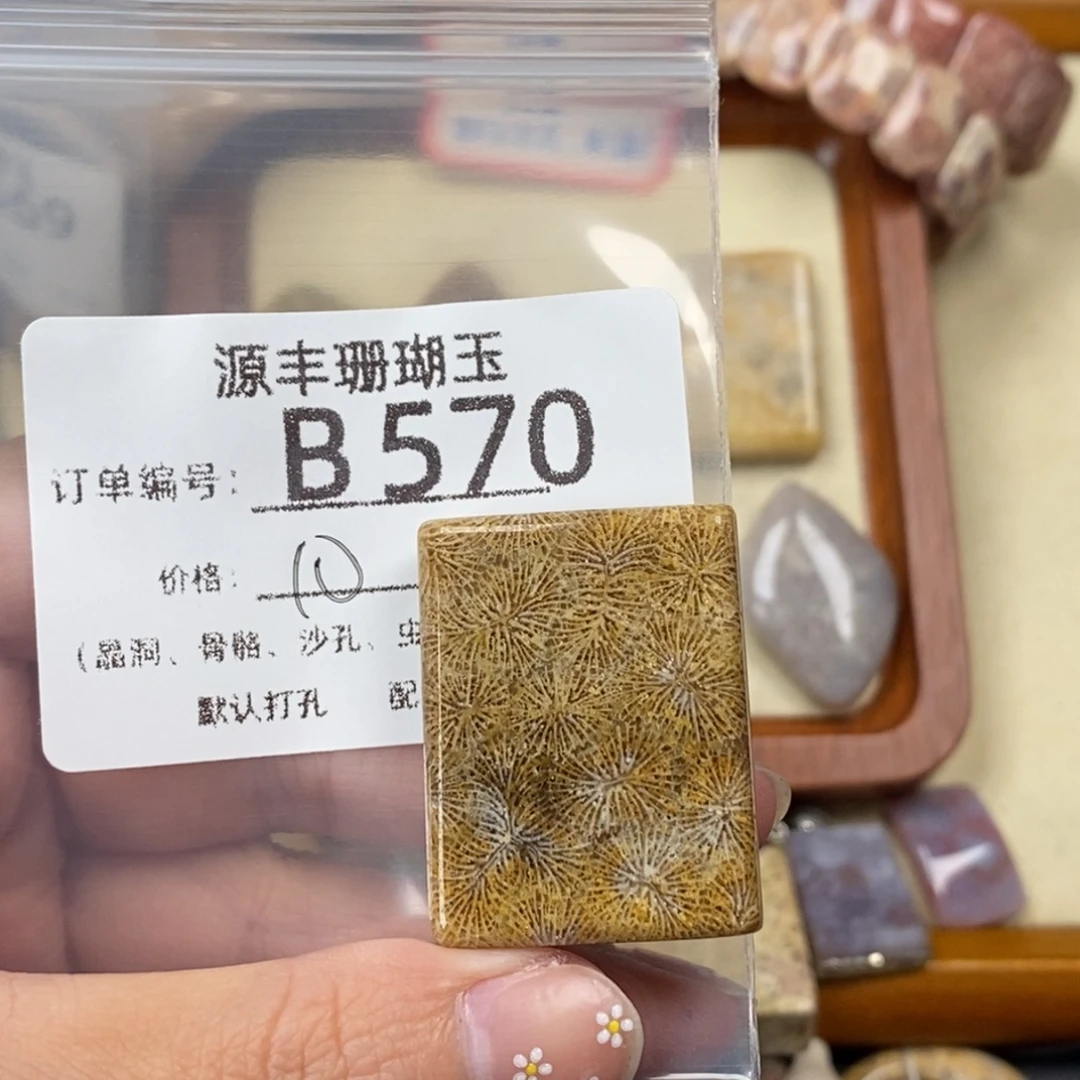 ***硅化玉未镶嵌颈饰