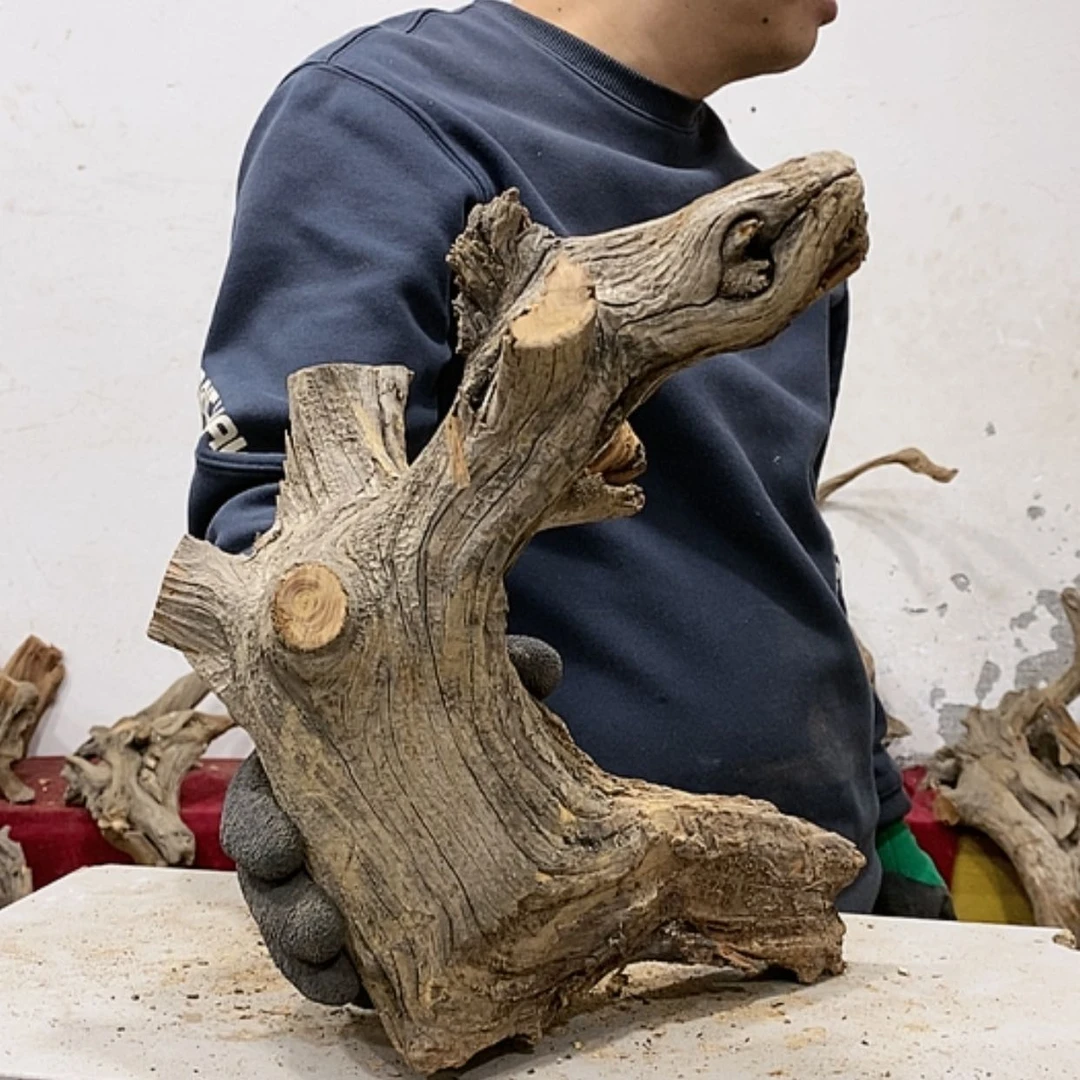 【闪购商品】柏木展****）我们都是好孩子