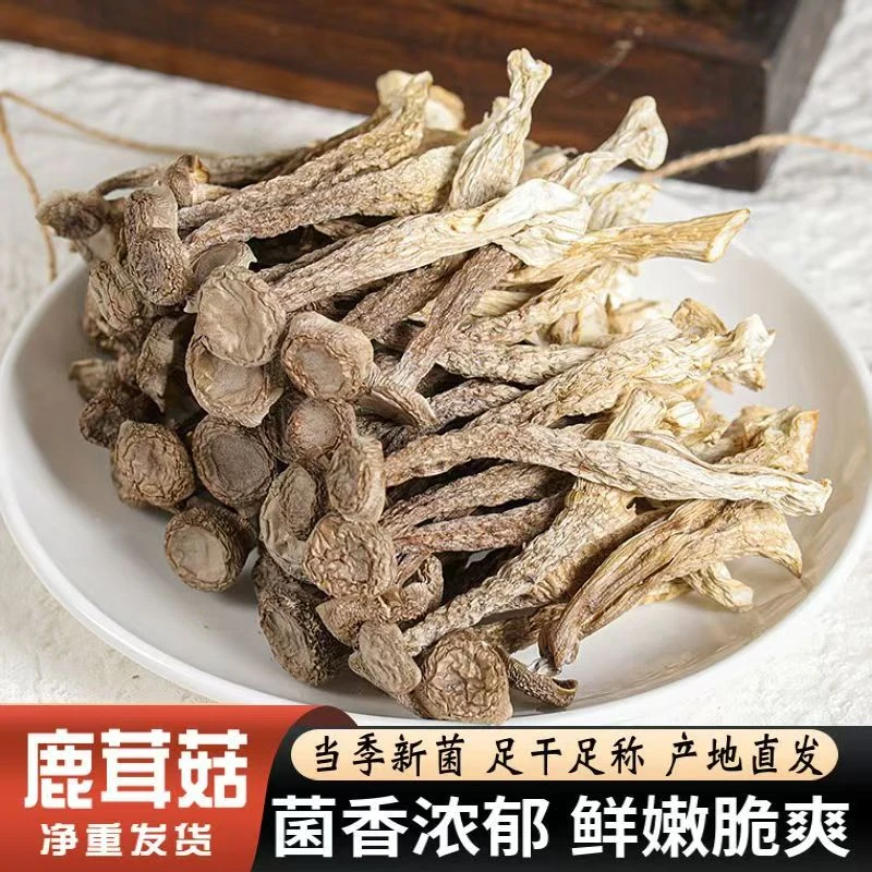 高山干货鹿茸菇正宗农家无硫熏不开伞鹿茸菌煲汤炒菜