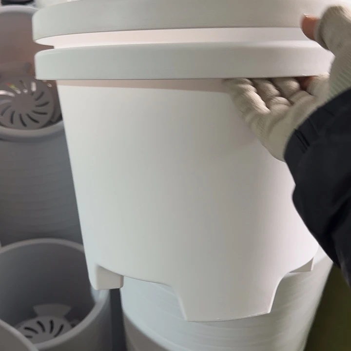 球根32口径5个无托白色