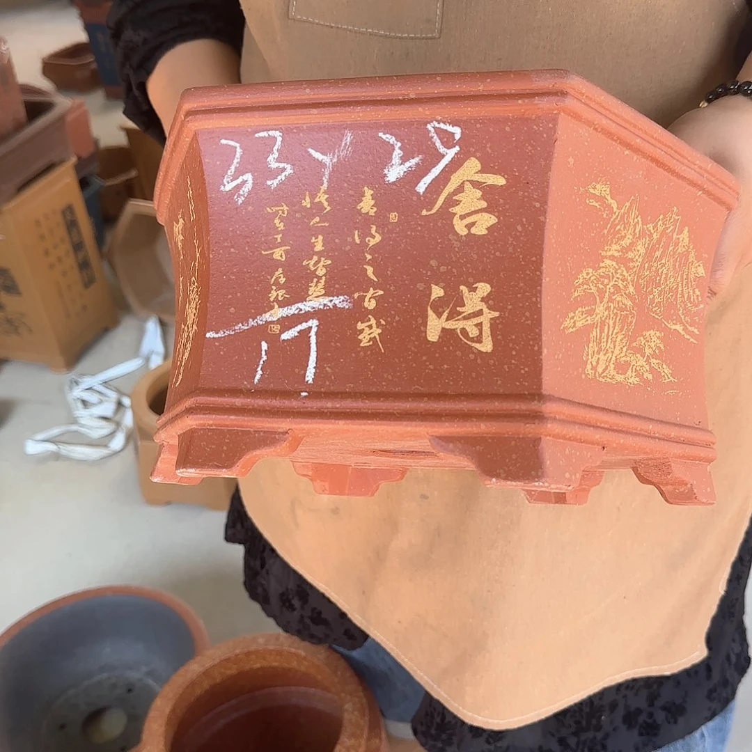 紫砂花盆这是我的