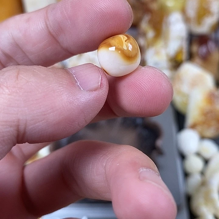 未镶嵌琥珀裸石我