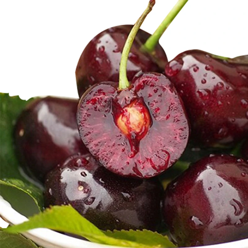 【川渝专属芦】汉源套袋车厘子大樱桃香甜美味果园现摘新鲜多汁