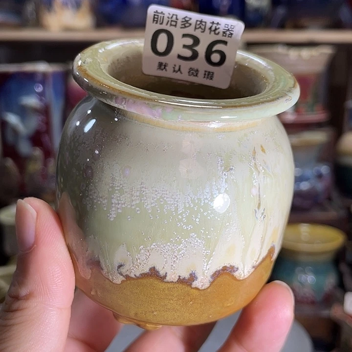 狼盆内口径4高度7