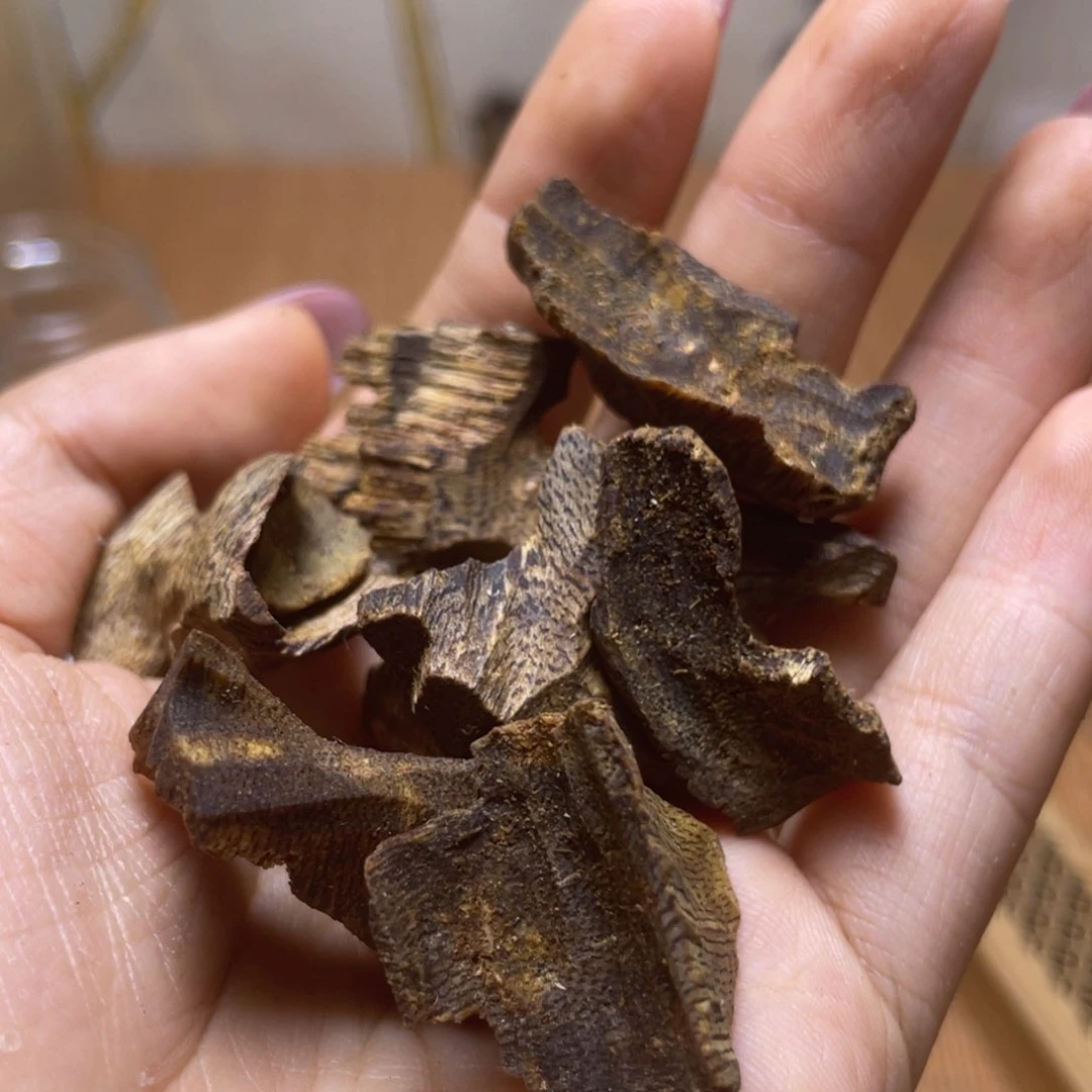 香榧木海南种植金丝绿棋楠12g