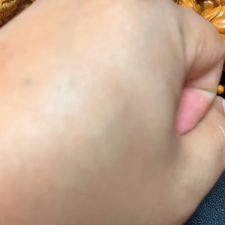 橄榄核手串/手链余*橄榄微瑕钟馗