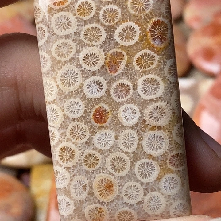 福***庆硅化玉未镶嵌吊坠