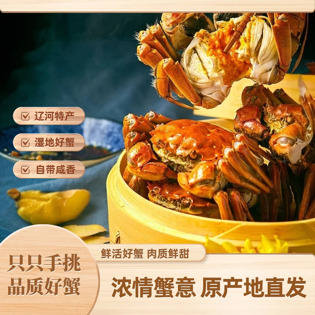 【活蟹】盘锦河蟹(1.6-1.4两/只)母蟹 10只/16只 鲜活发货