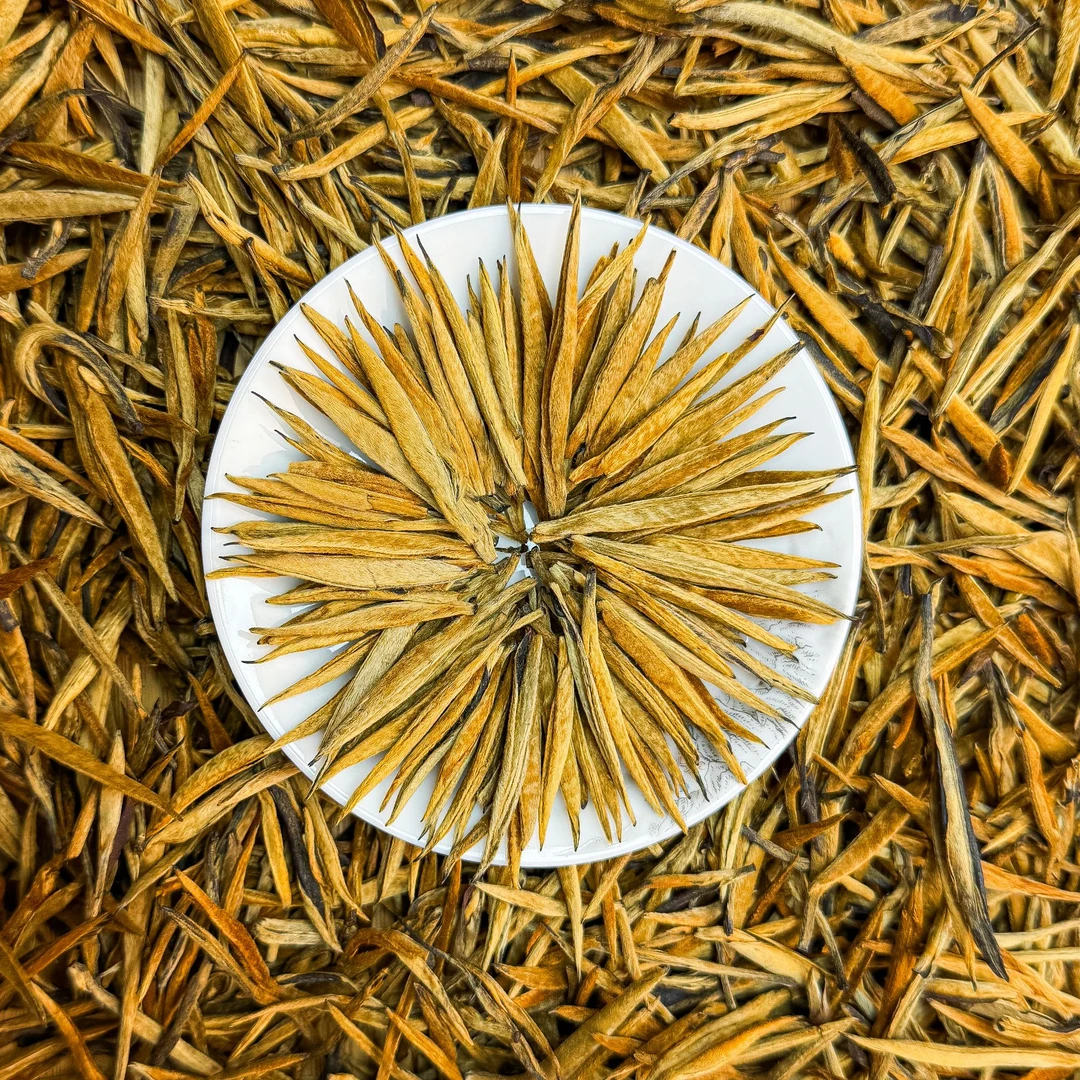 【滇红•大金针】2025年春茶（老树）正宗凤庆高山全芽型红茶 薯蜜香