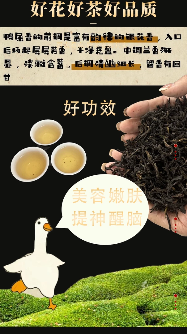 潮州凤凰单枞茶鸭屎香清香型500g