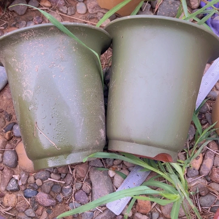 雷***米瑕疵吃吊车吃瑕疵吃瑕疵