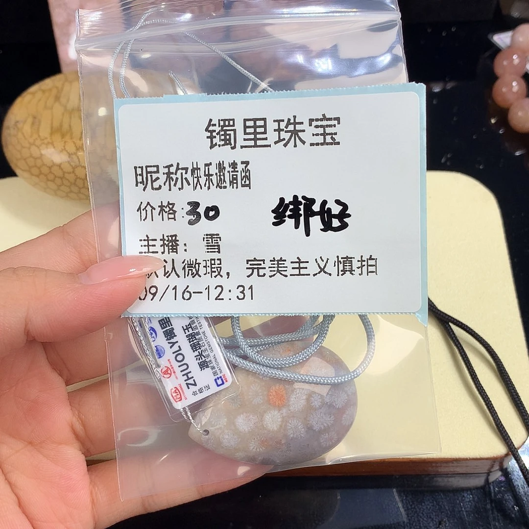 快***函吊坠(赠链)未镶嵌硅化珊瑚（珊瑚玉）