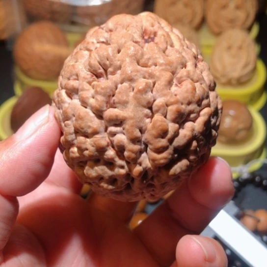 文玩核桃把件文***者单只金刚菩提