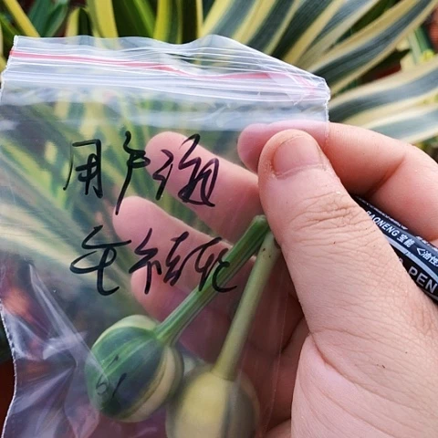 【闪购商品】用*海