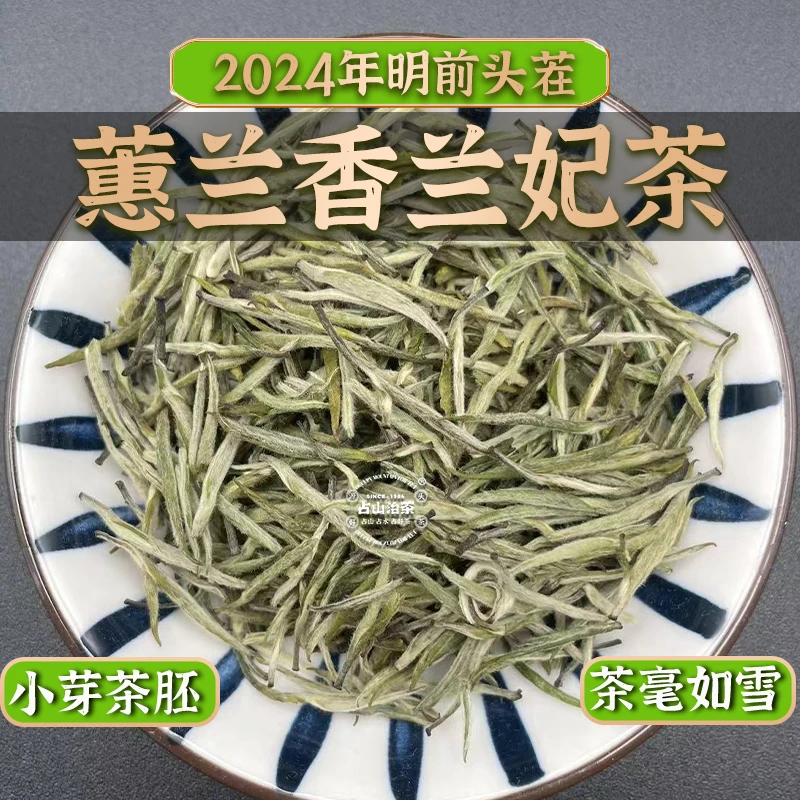 蕙兰兰妃高端兰花香茶蒙顶2025明前头采新茶源头浓香型耐泡鲜甜