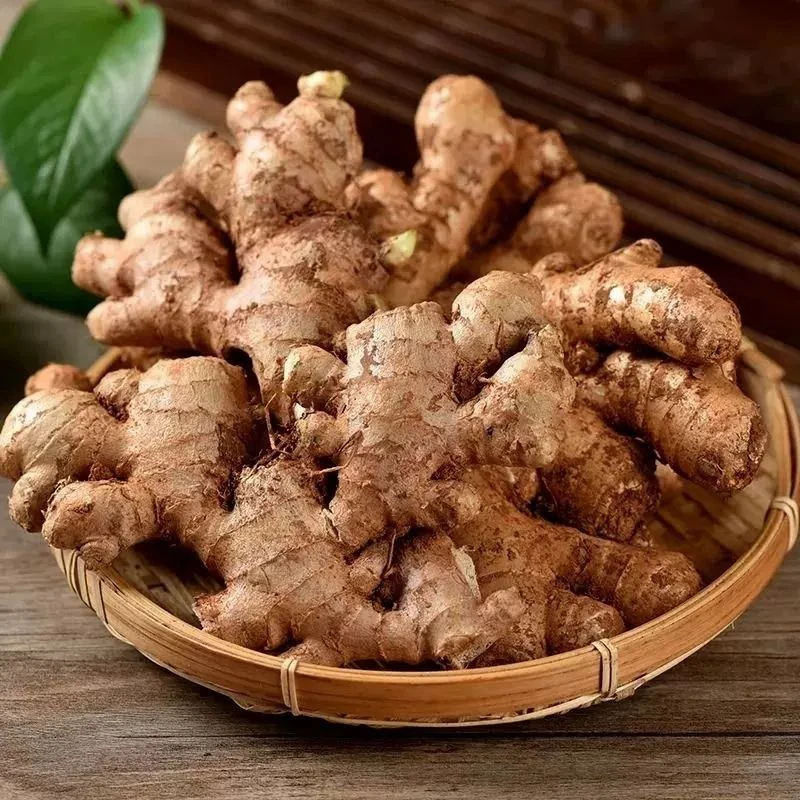 云南高山新鲜小黄姜老姜现挖现发整箱包邮