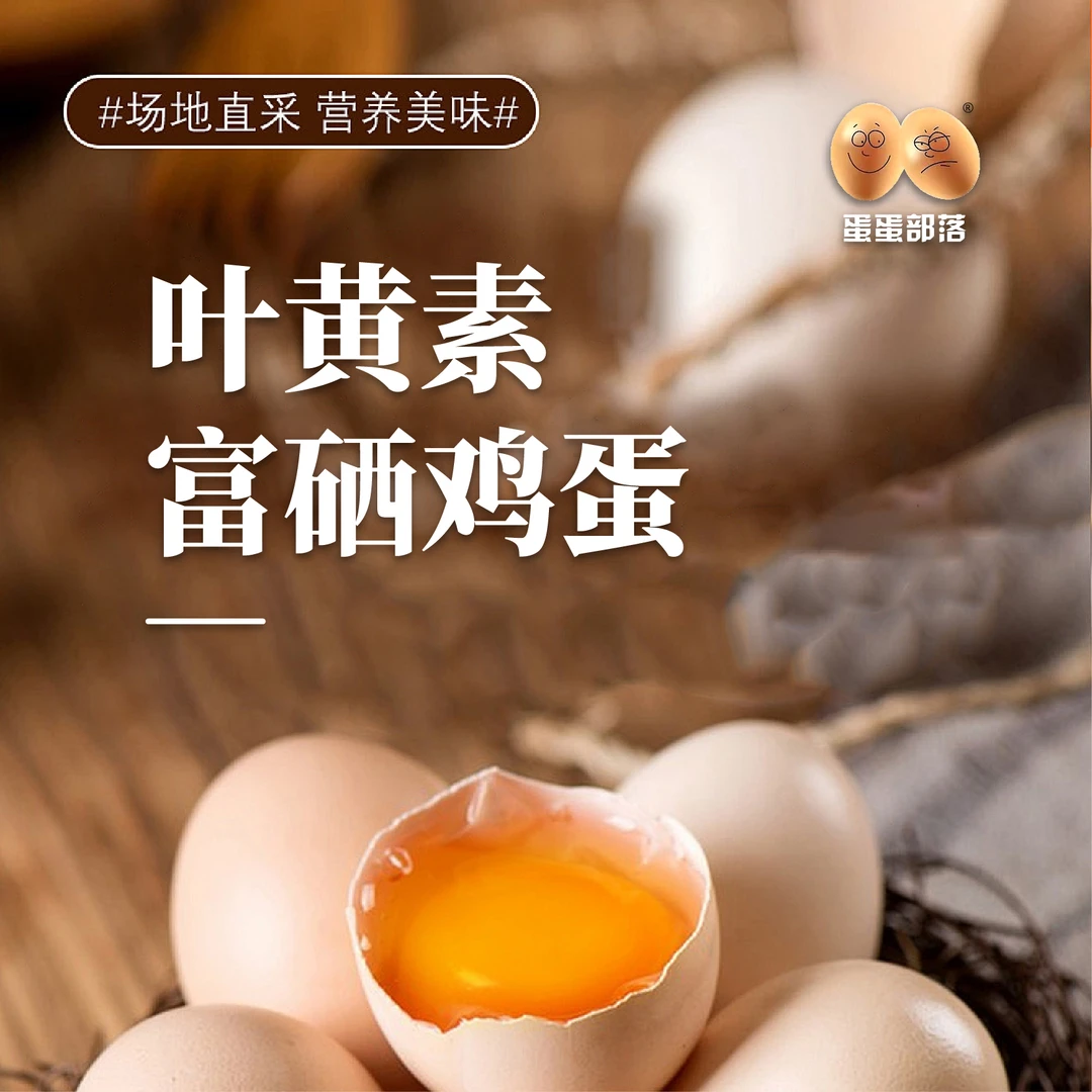 蛋蛋部落富硒叶黄素可生食无菌新鲜健康无抗鸡蛋礼盒装鸡蛋