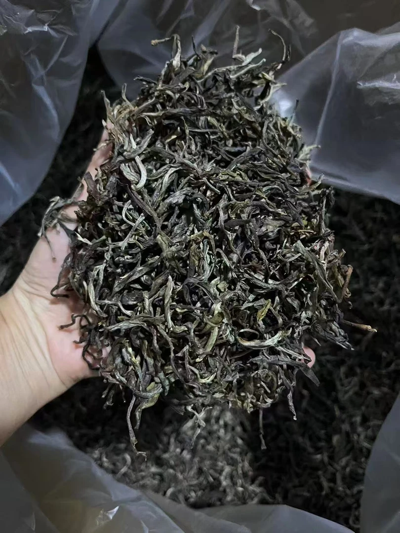 2025 曼松王子山大树(100年以上) 普洱茶 生茶散茶
