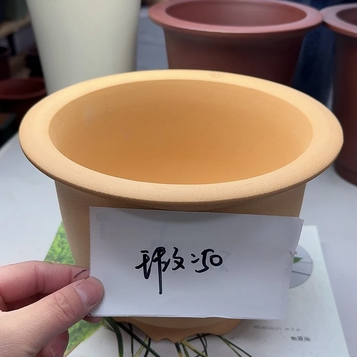 紫砂222222222222222222