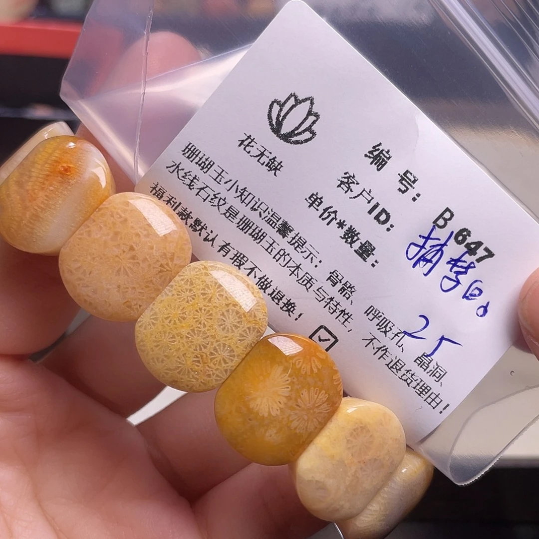 捕***鱼硅化玉未镶嵌手镯