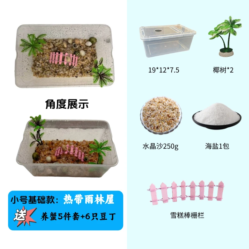 基础款【热带雨林】新手寄居蟹套盒+6只豆丁+（包活4只）