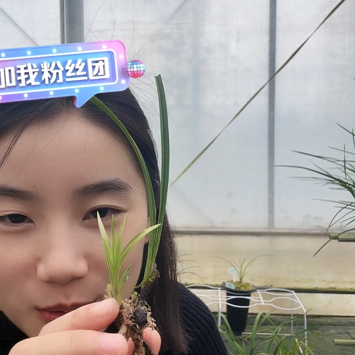 琪***舍完全开放彩凤123456790