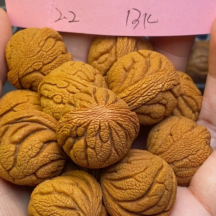 桃核吊坠秦岭龙纹桃核22