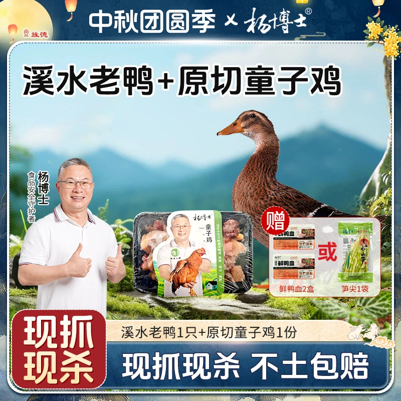 【溪水老鸭+原切童子鸡】【送笋尖或鲜鸭血】杨博士土鸭溪水放养红烧