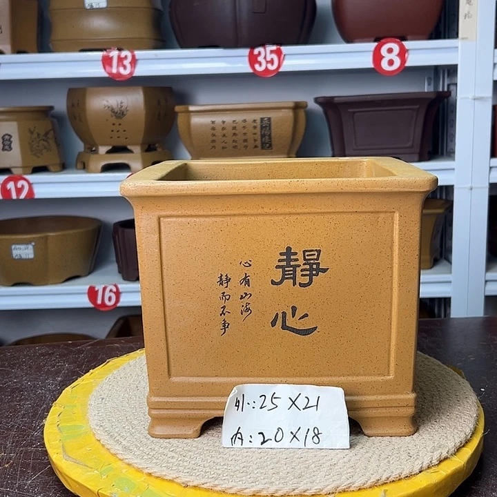 花盆紫砂你在一起