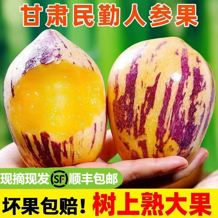 顺丰甘肃民勤沙漠人参果4.5/8斤装，产地直发坏果包赔