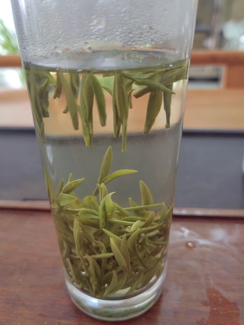 新茶明前毛峰安徽绿茶浓郁兰花香春茶